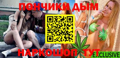 шишки Кимры