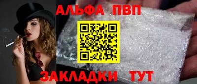 спиды Кингисепп