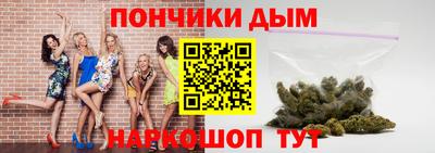 спиды Кингисепп