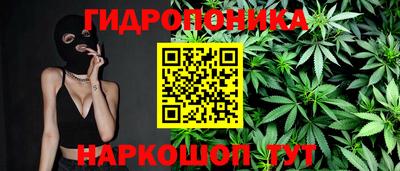 шишки Кимры