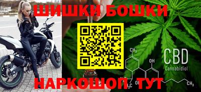 шишки Кимры