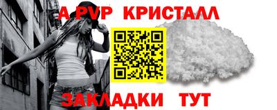 шишки Кимры