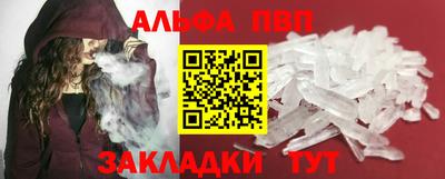 спиды Кингисепп