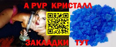 спиды Кингисепп