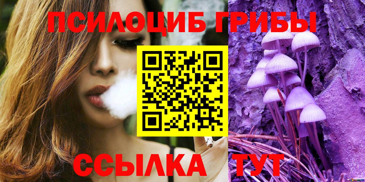 Галлюциногенные грибы MAGIC MUSHROOMS  купить наркотики сайты  Кириши  Вход с VPN  Псилоцибиновые грибы Cubensis 
